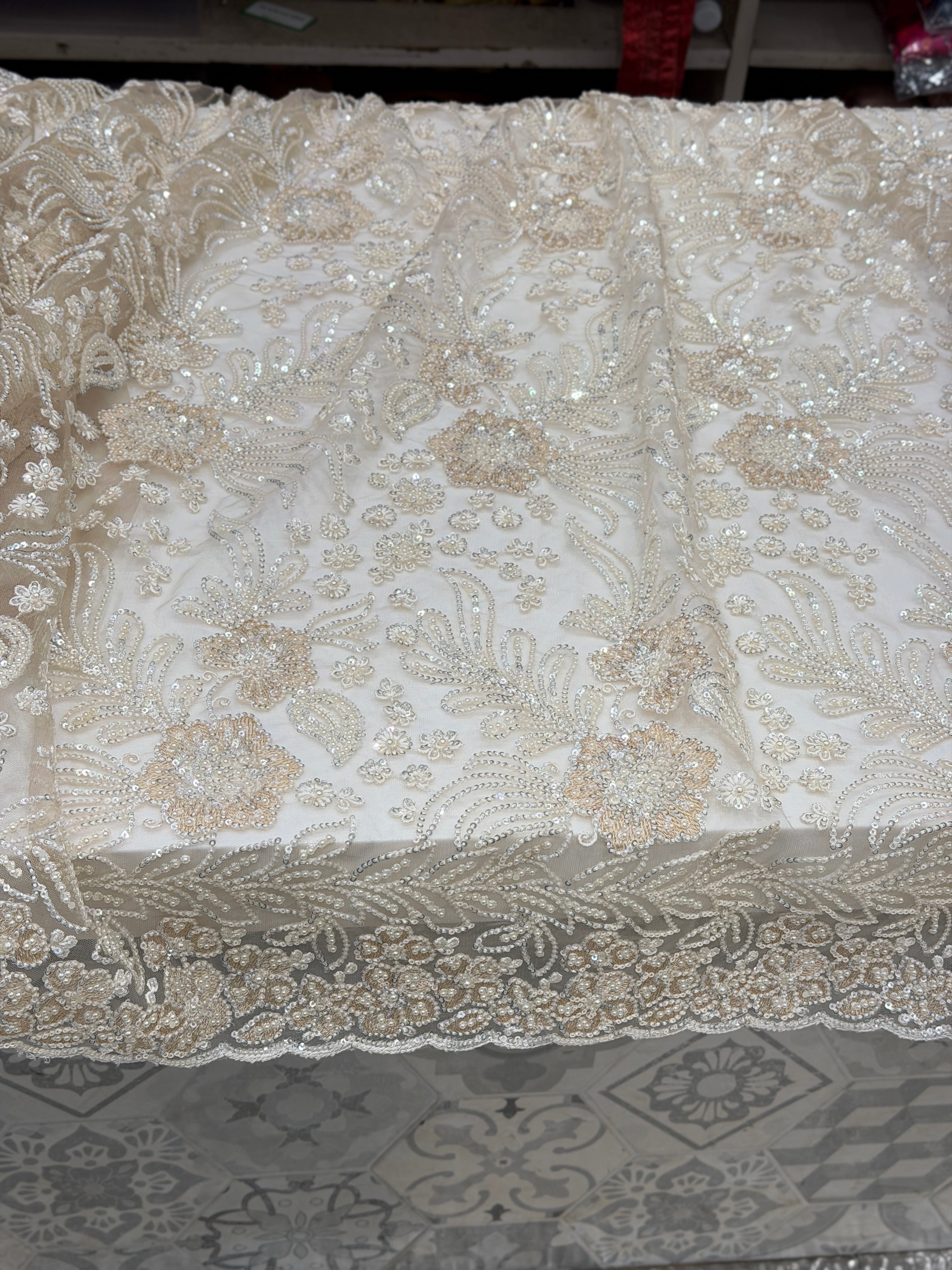 Beige Resham Moti Jaal Net Embroidery Saree Heavy Blouse