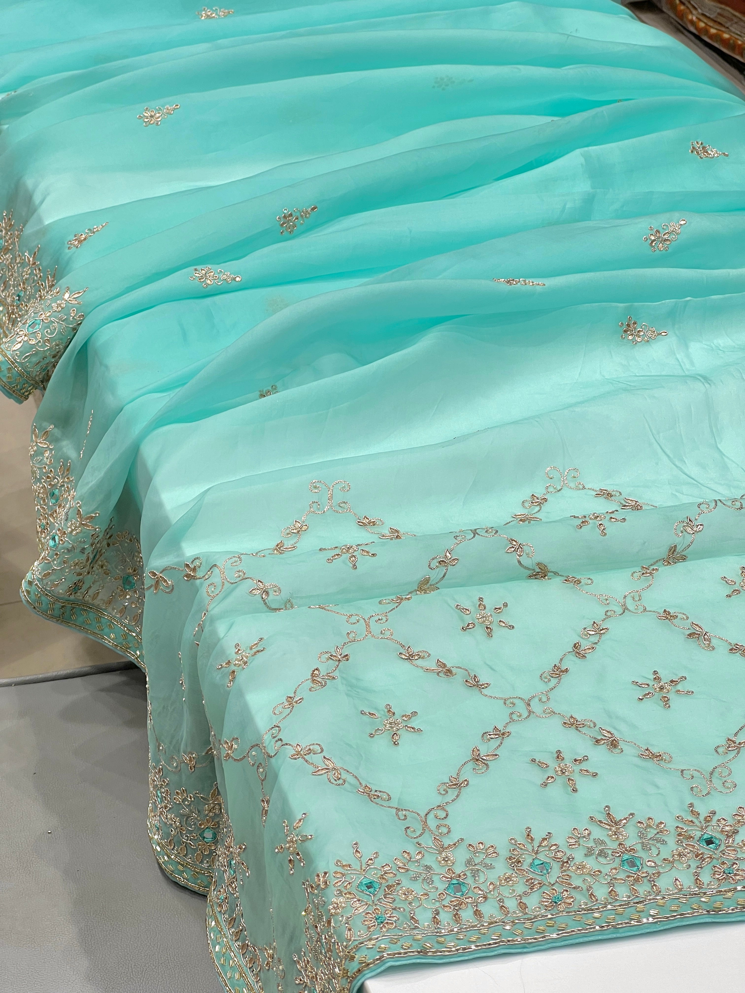 Light Blue Organza Hand Embroidery Saree