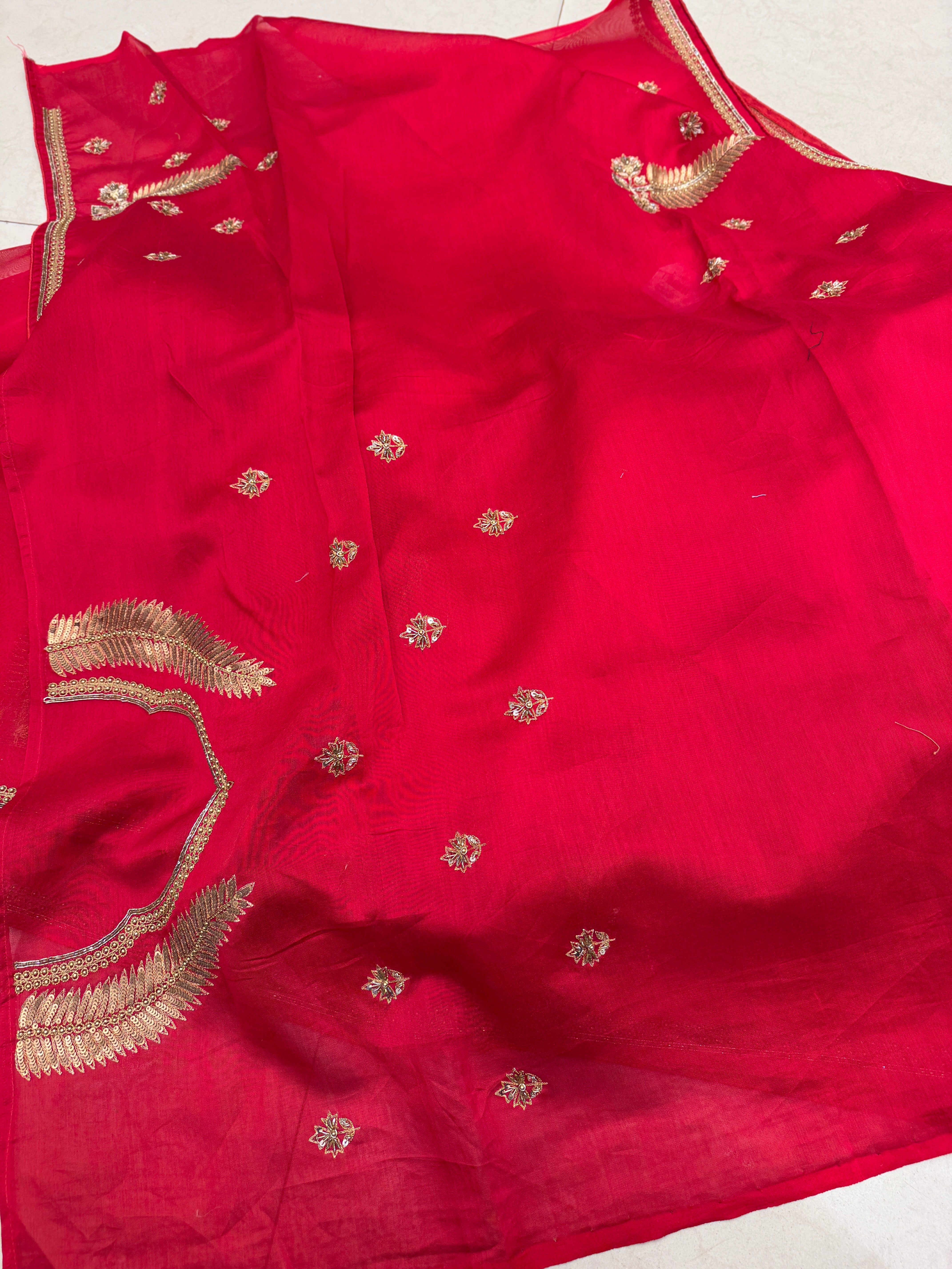 Red Pure Organza Raw Mango Inspired Contemporary Asopalav Pallu Zardodi Moti Sequin Hand Embroidery Saree