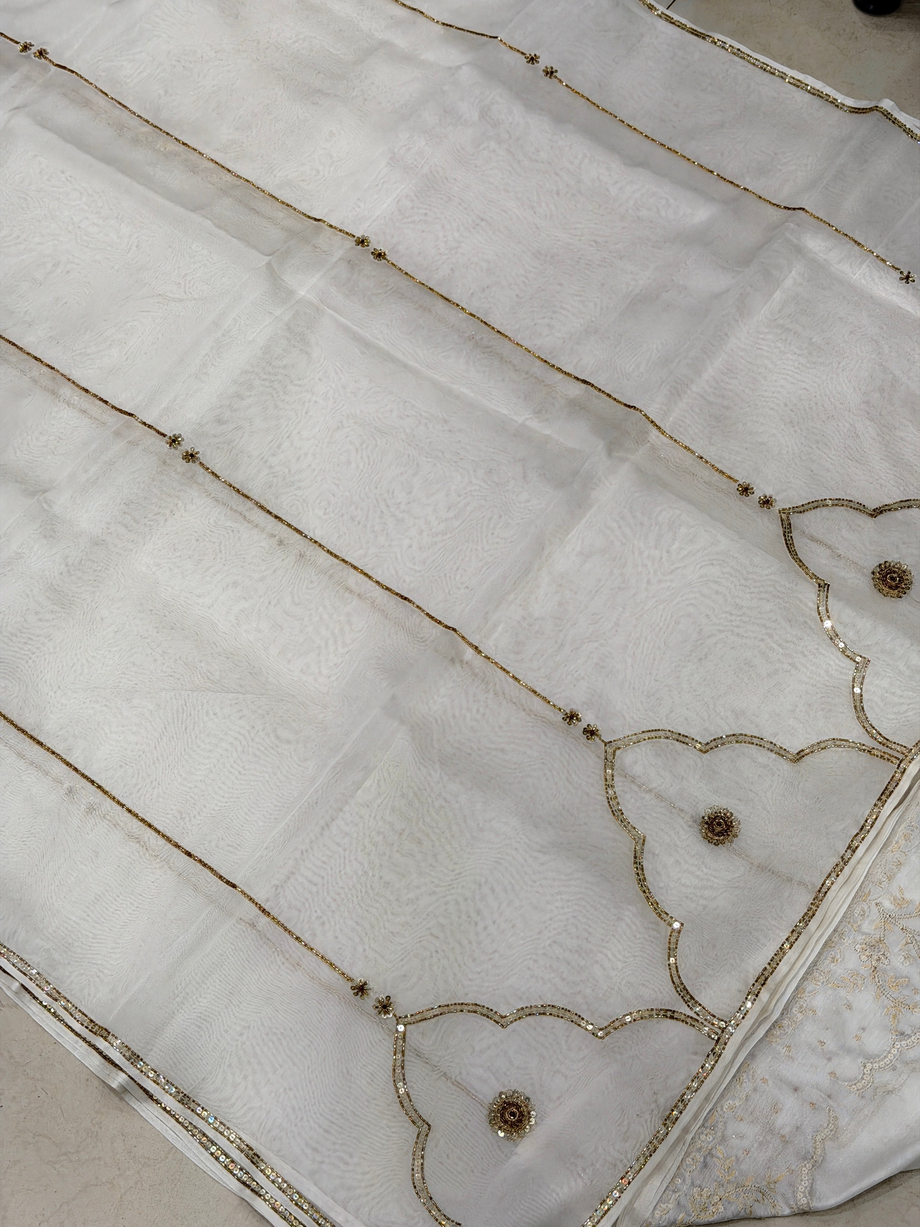 White Pure Organza Raw Mango Inspired Contemporary Zardodi Moti Sequin Hand Embroidery Saree