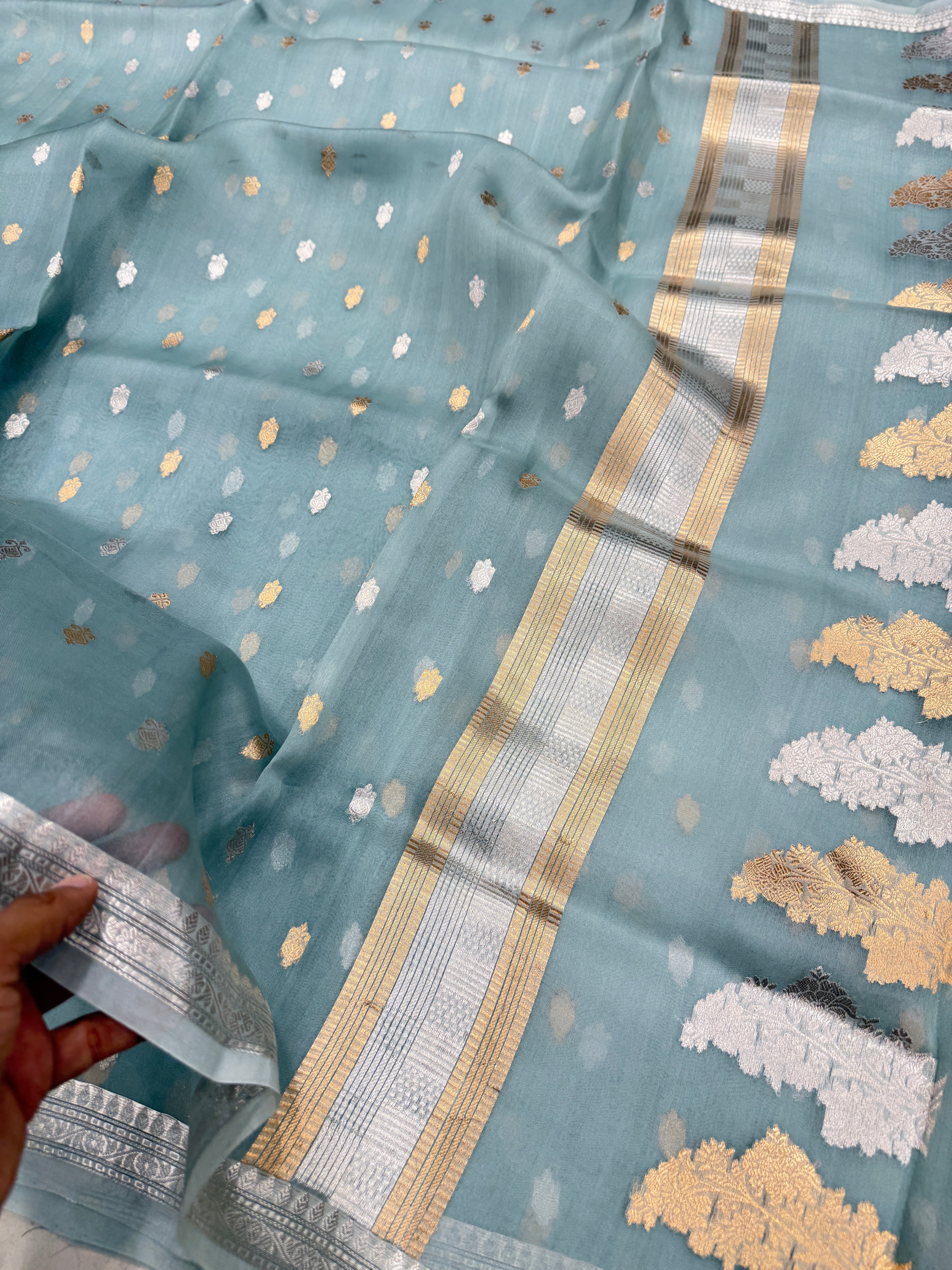 Pastel Sage Green Banarasi Sona Roopa Handloom Kora Silk Saree