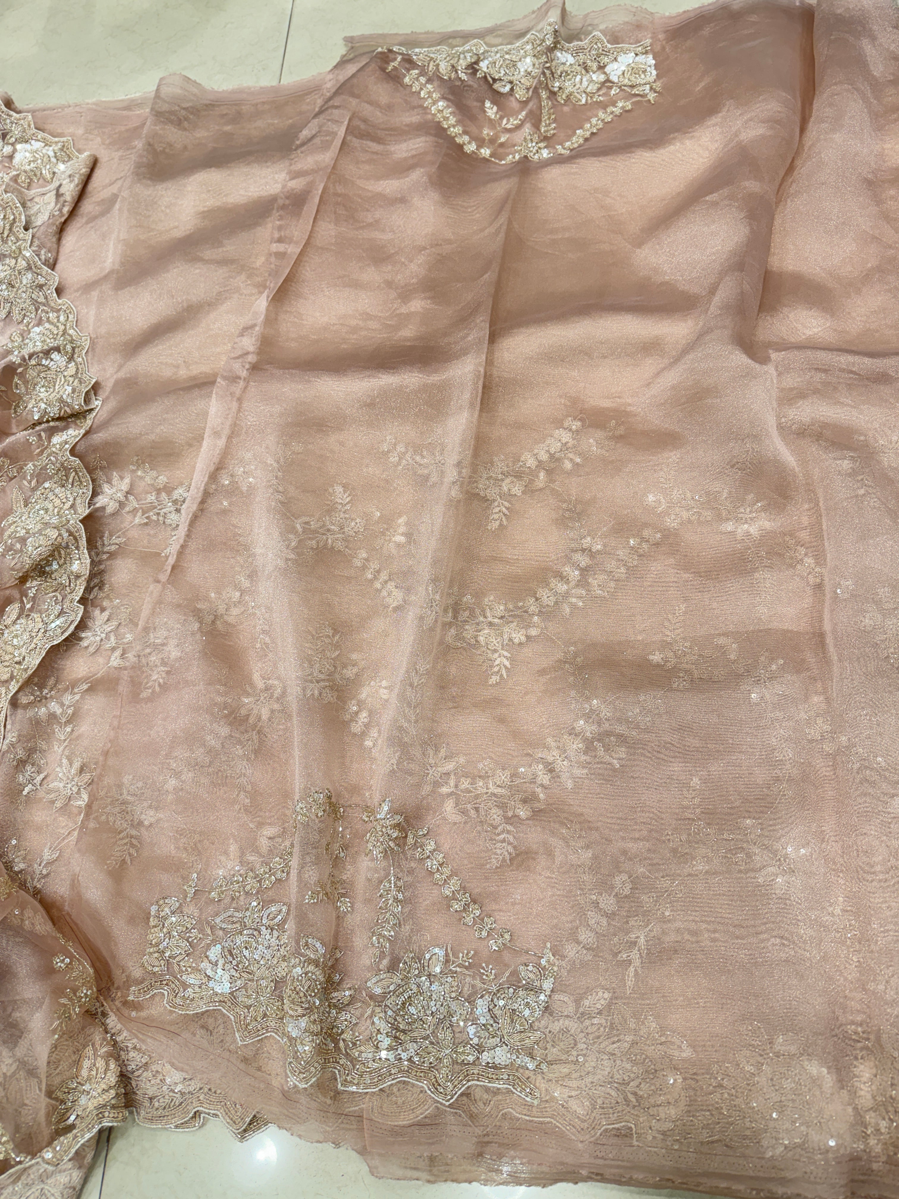 Nude Pink Tissue Organza Zardosi Moti Sequin Jaal Hand Embroidery Saree
