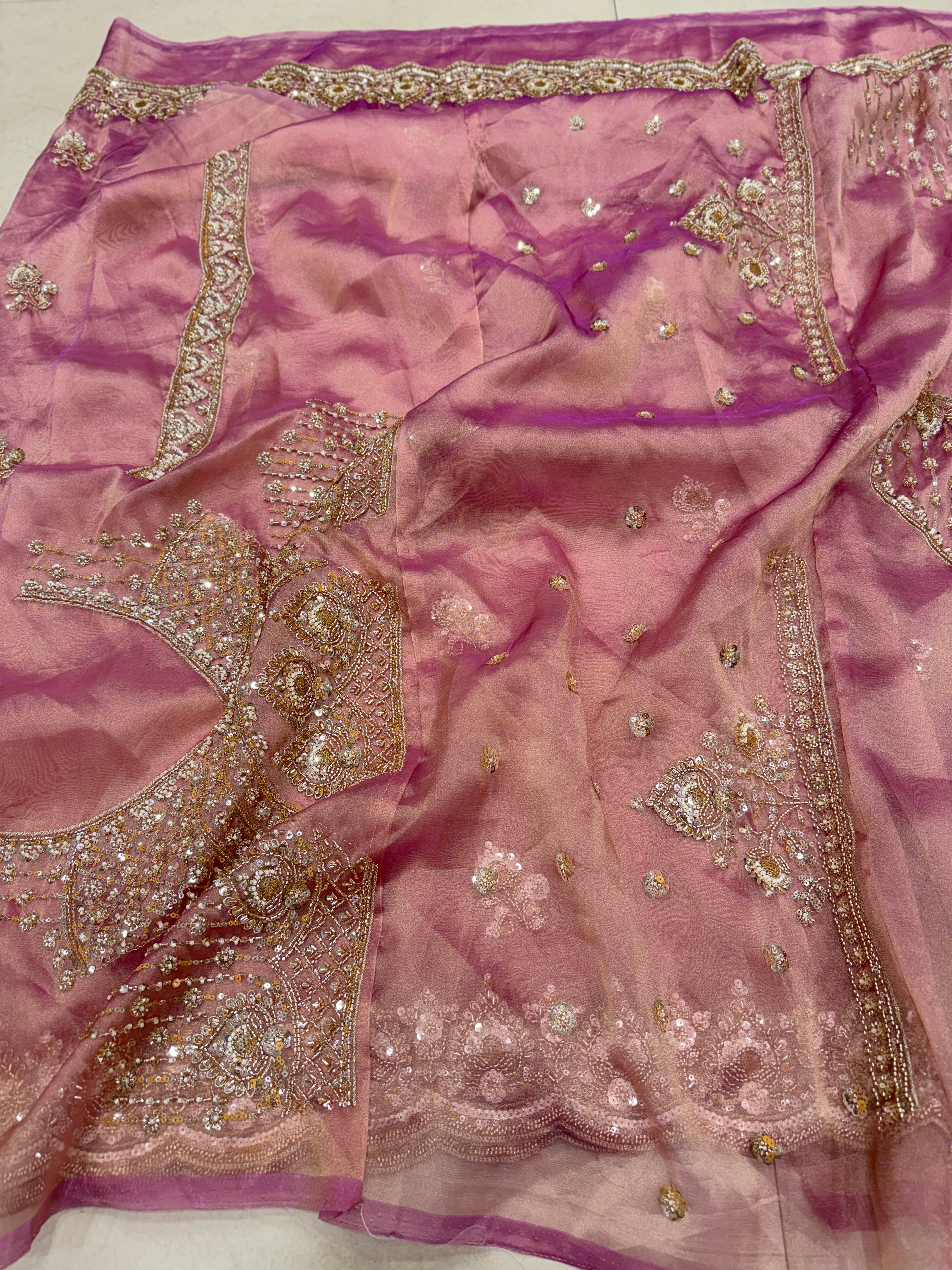Pink Tissue Organza Moti Sequin Embroidery Heavy Blouse Saree