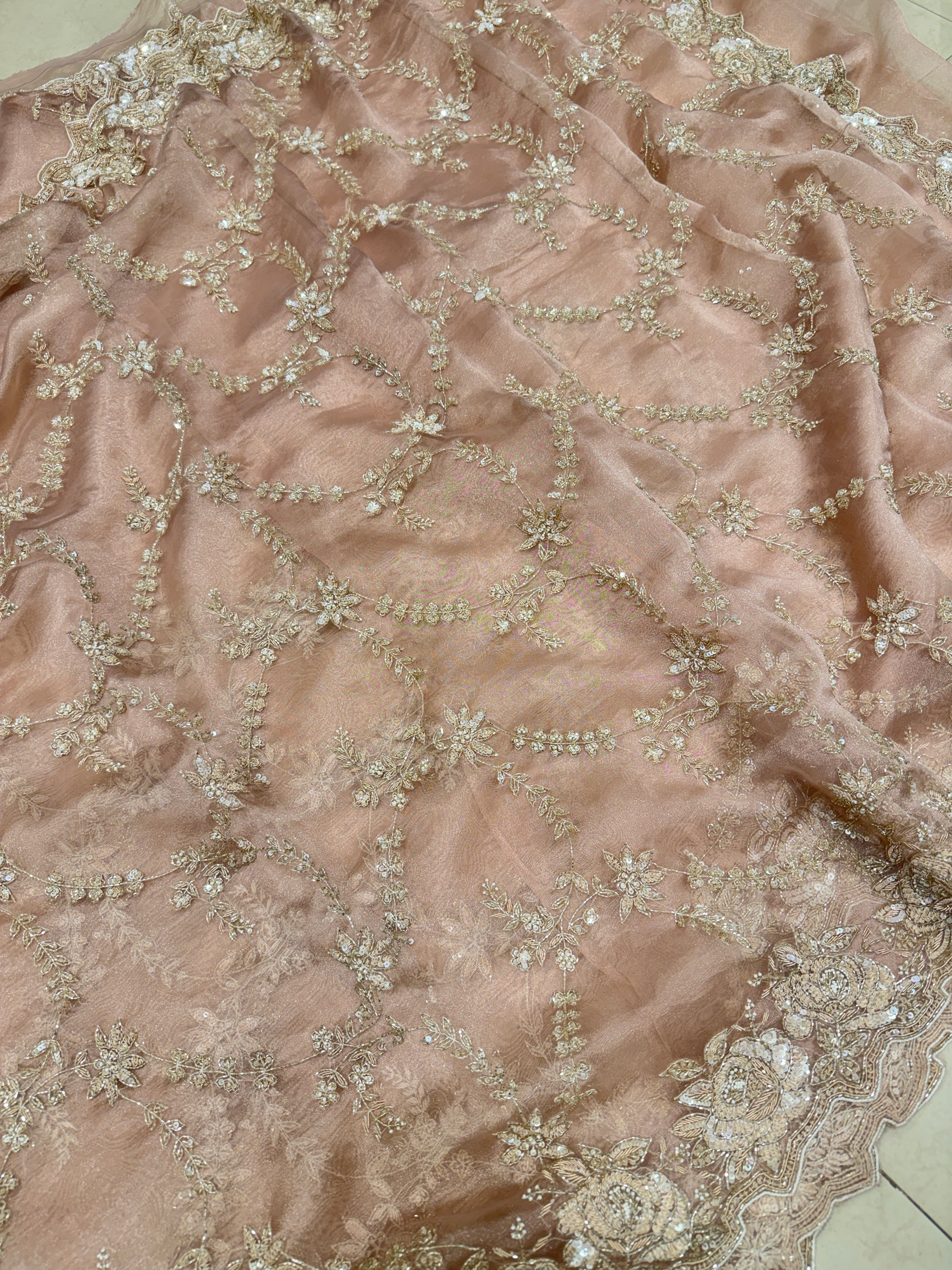Nude Pink Tissue Organza Zardosi Moti Sequin Jaal Hand Embroidery Saree