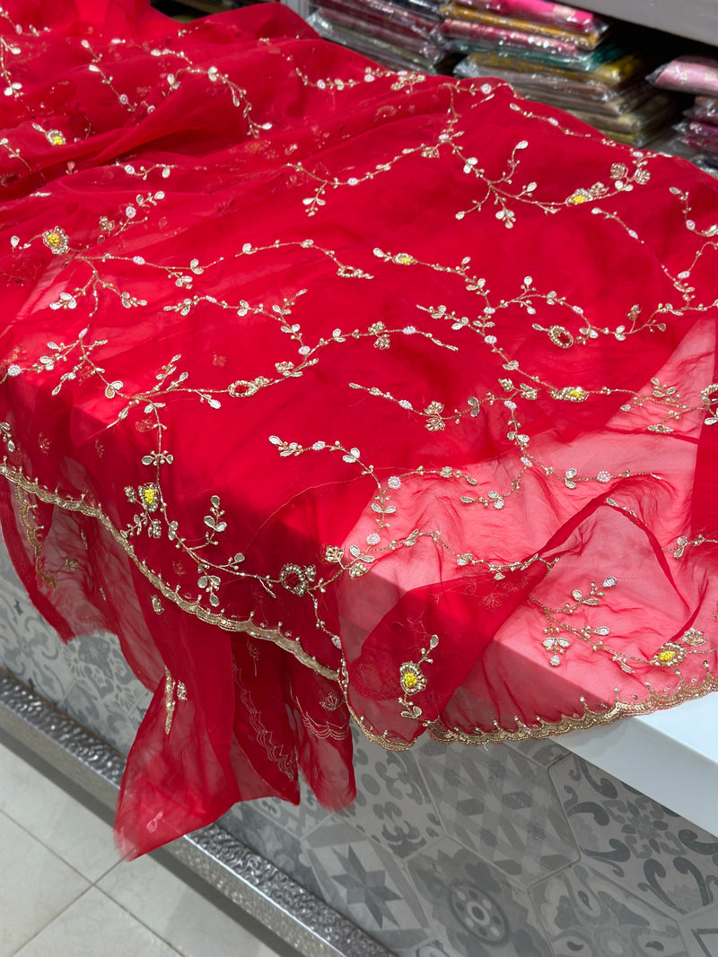 Red Organza Hand Embroidery Saree
