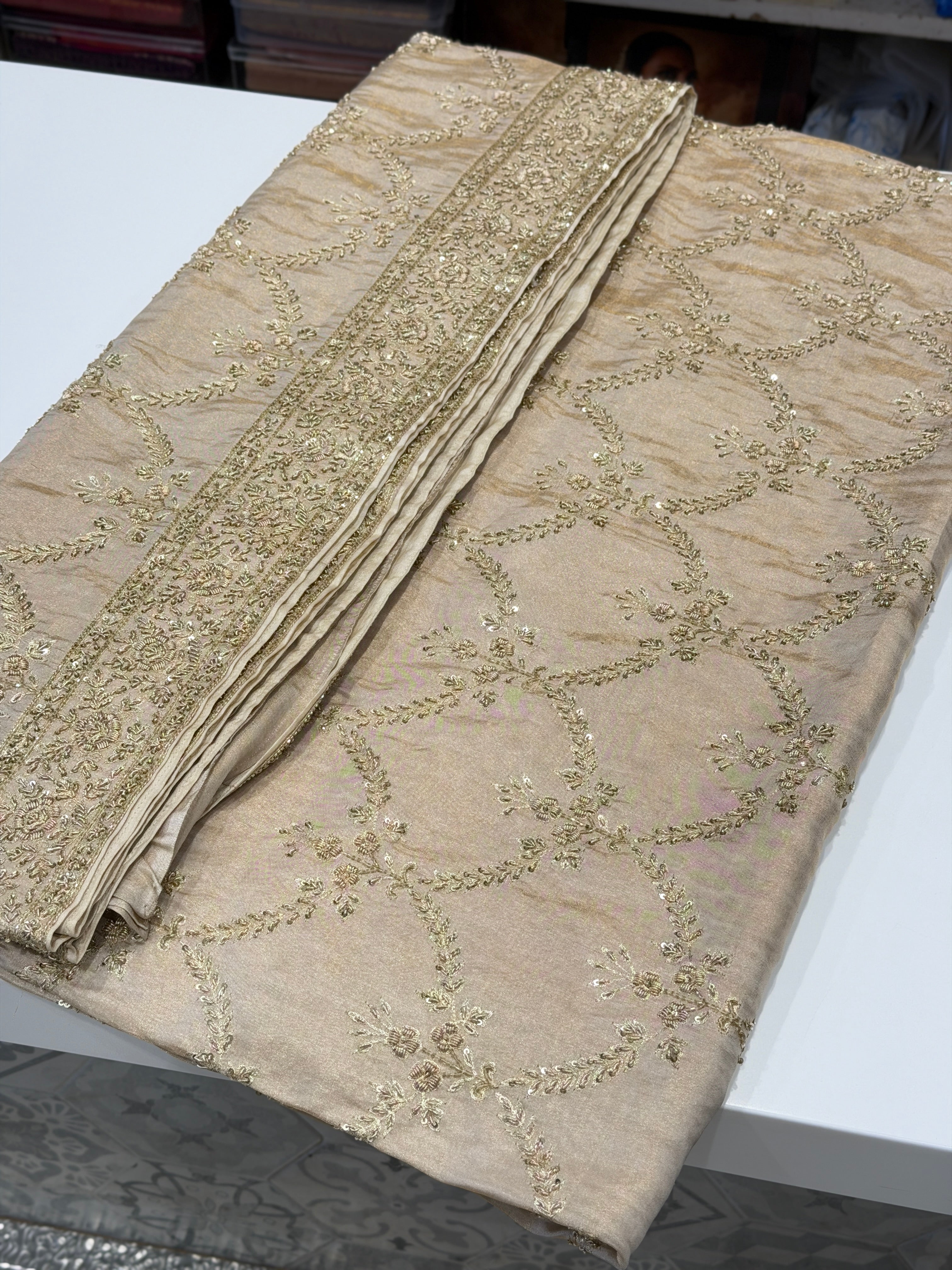 Ivory Tissue Zardosi Crown Jaal Hand Embroidery Saree