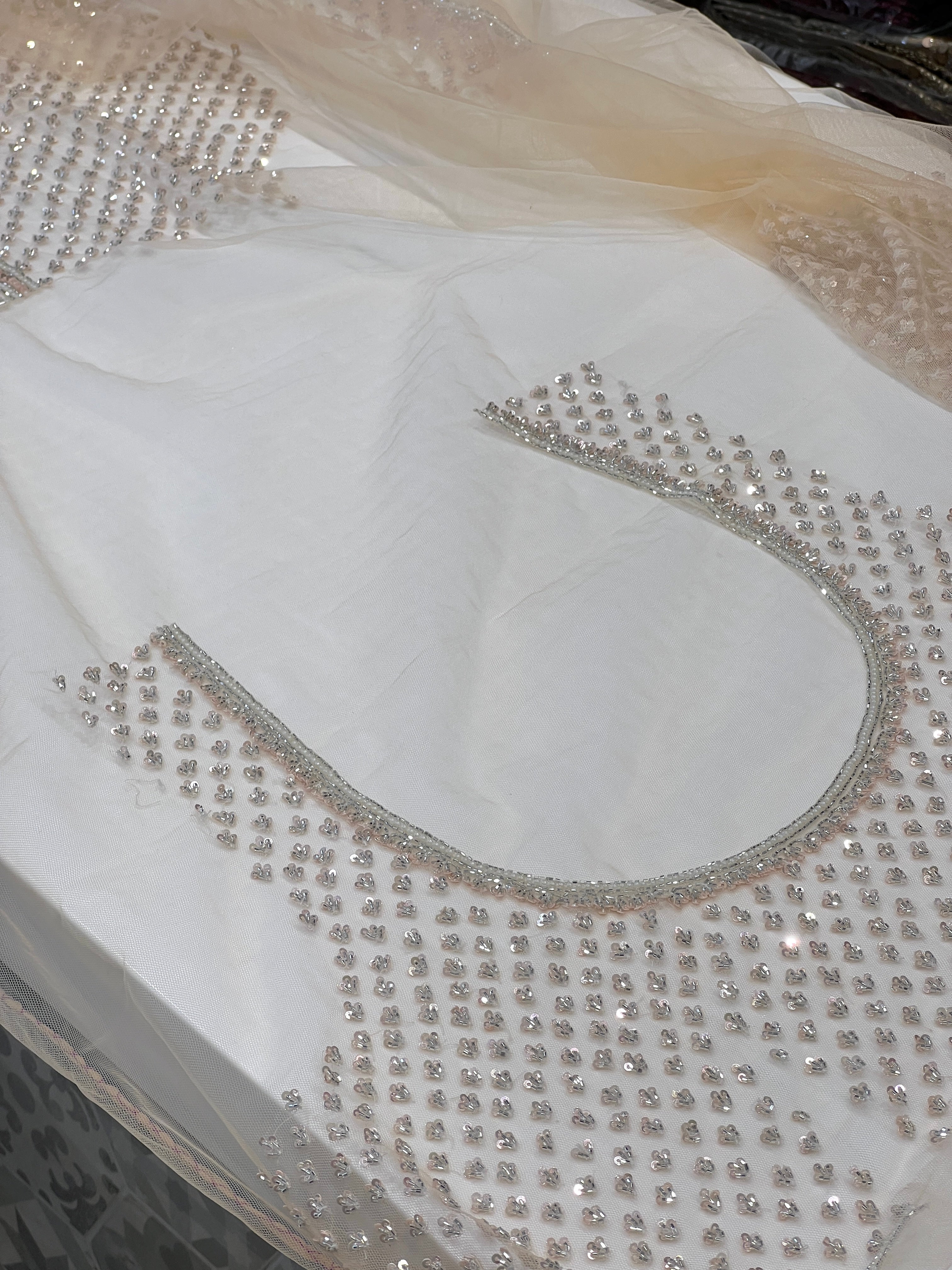 Nude Beige Hand Embroidered Net Saree