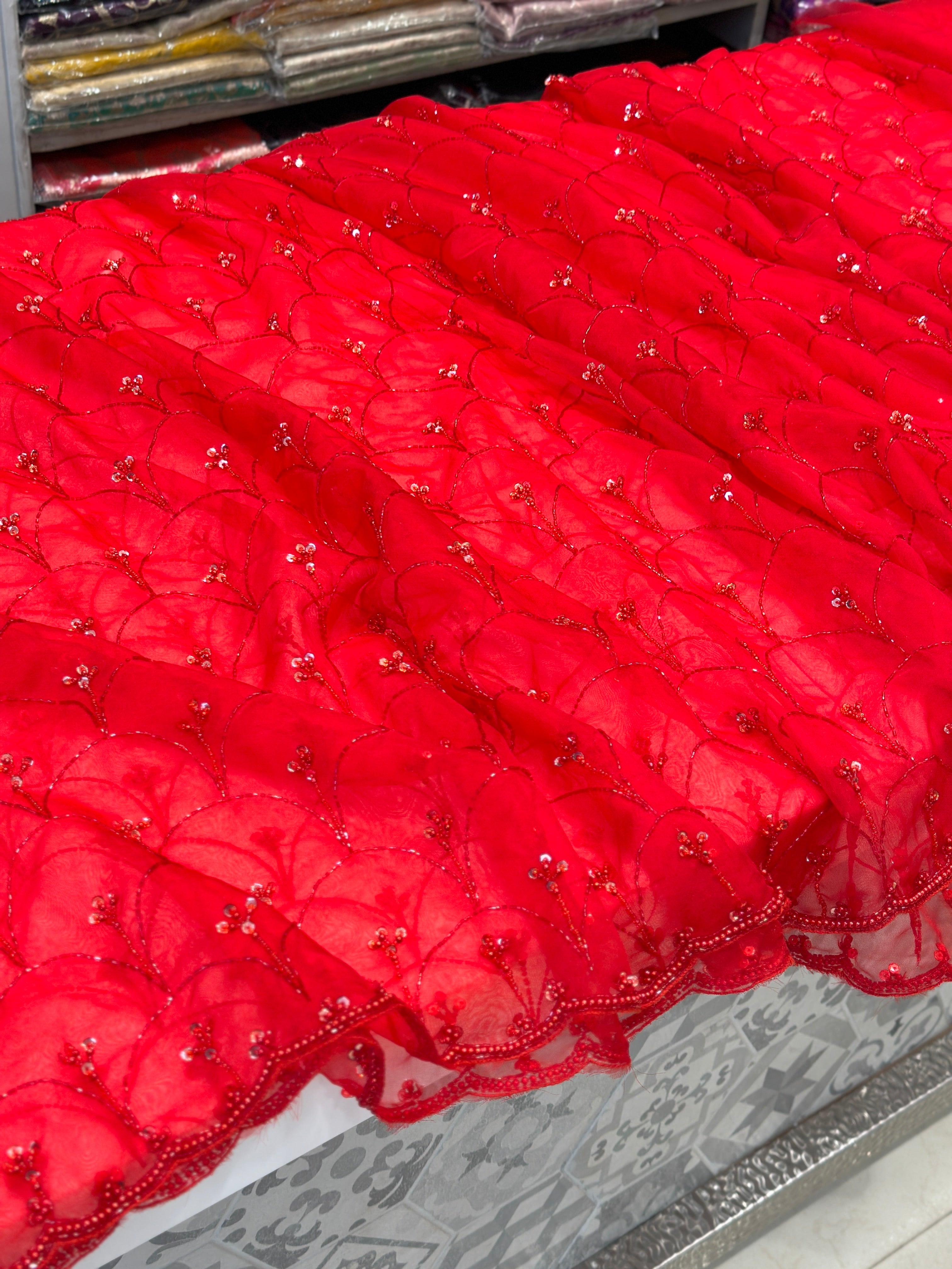 Red on Red Organza Saree