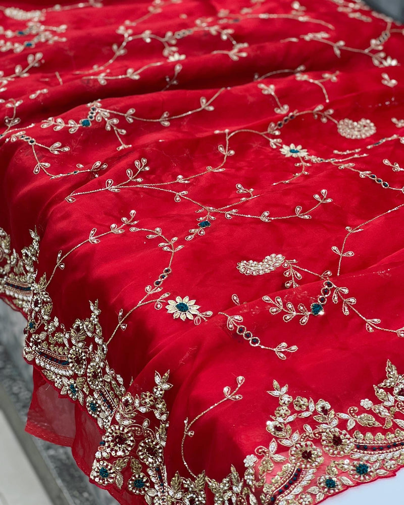 Red Organza Hand Embroidery Jaal