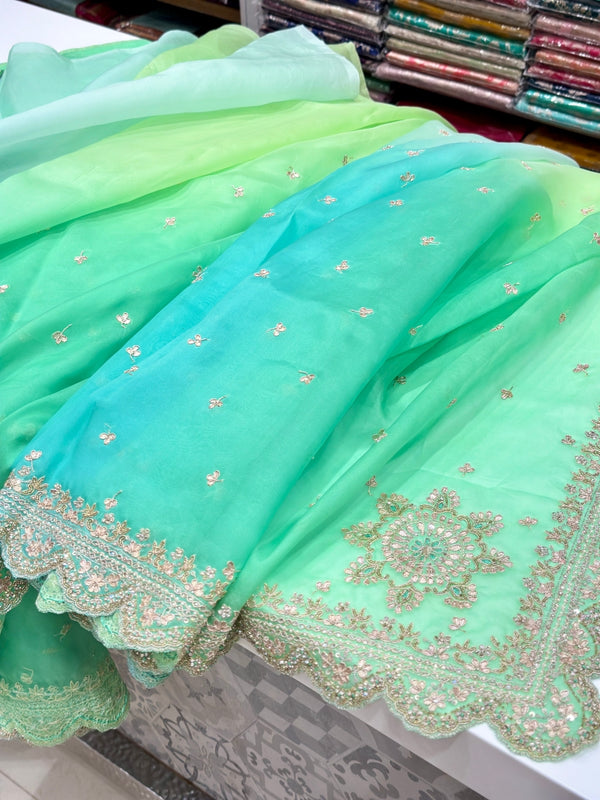 Pure Organza Shaded Embroidery Saree