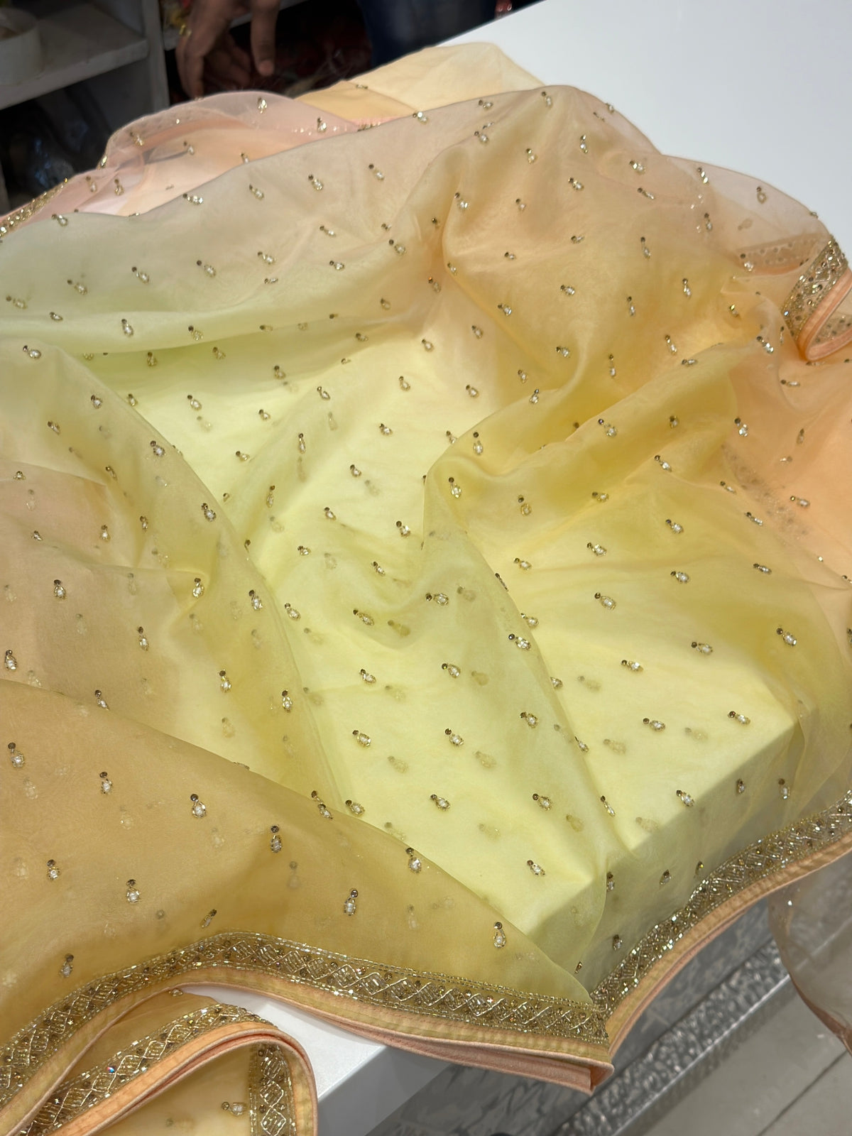 Shaded Organza Saree Hand Embroidery Buttis