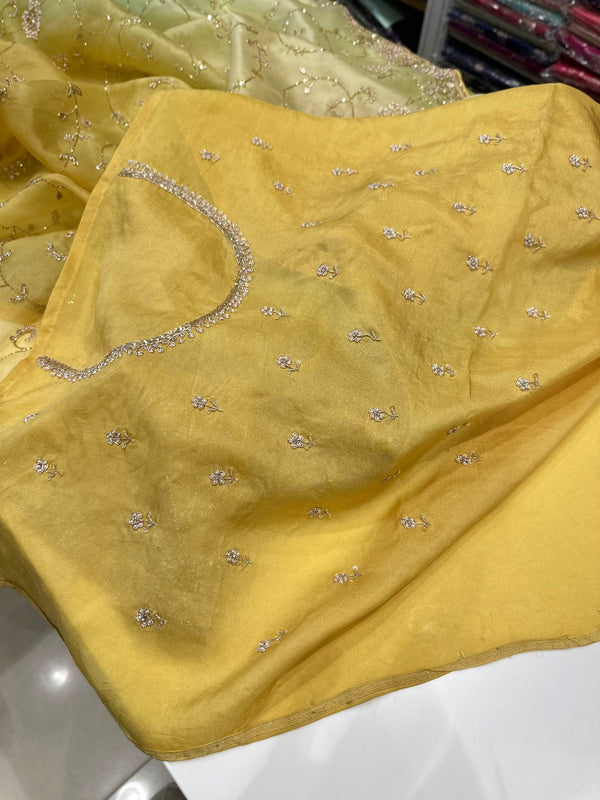 Shaded Pure Organza Hand Embroidery