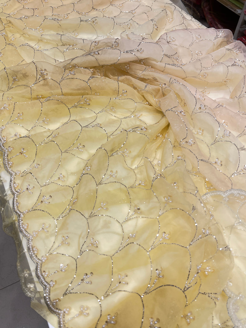 Shaded Hand Embroidery Organza